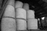 Bales