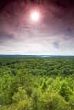 2T1U6475.jpg - Algonquin Provincial Park, ON, Canada