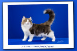 Vanir Portia DeRossi