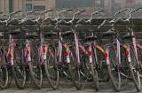 Jour 7 - Photos prises sur les remparts de la ville de Xi An
