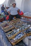 Santorini - Discovering the volcanic island of Nea Kameni