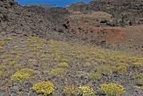 Santorini - Discovering the volcanic island of Nea Kameni