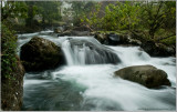 River