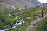 Approaching Grytviken