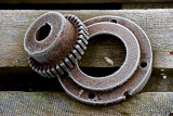 _MG_8742 whitstable.jpg