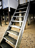 _MG_9824 thorpe bay.jpg