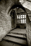 _MG_9897 nymans.jpg