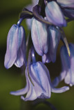 _MG_9997 standen.jpg
