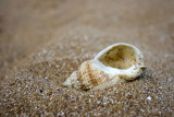 _MG_1475 broadstairs.jpg