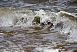 _MG_6926 lydstep haven.jpg