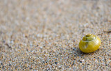 _MG_7975 padstow.jpg