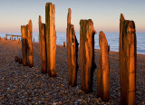 _MG_5595 Winchelsea.jpg