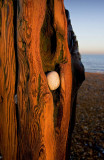 _MG_5600 Winchelsea.jpg