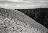 Sand Dune - Point Pelee National Park, Leamington, Ontario