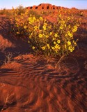 San Rafael Desert, HWY 24, UT