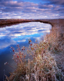 Glacial Park sunrise, McHenry Co