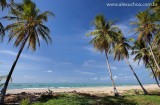 Mundau, Trairi, Ceara, 2010-03-02 5554.jpg