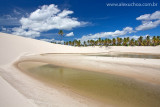 Lagoa da Pinguela, Barrinha, Acarau, Ceara, 6071.jpg