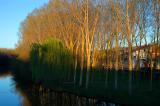 Arlanza River