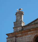Storks - Lerma