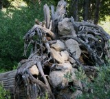 Rocks held aloft