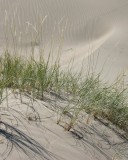 Echoing Swirls