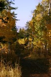 Justice Park Trail