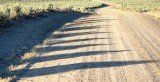 Sagebrush Shadows, Late Afternoon