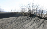 Ripples...Shadows...Tracks