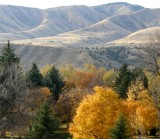 Toward Cusick Creek