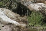 Trickle into Hand
