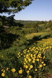 Heise / Kelly Canyon