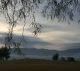 Cool, Damp Dawn