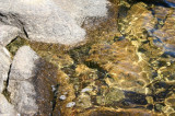 Sunlit Shoreline Ripples