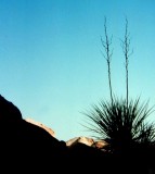 Morning comes to Valley of Fire