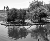 Pond Landscape .jpg