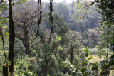 Lagoa Amelia, Obô National Park, São Tomé