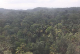 View from the air approaching Príncipe