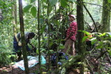 Lunch break en route to the camp, Cao Grande, São Tomé