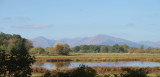 Wards Pond, Loch Lomond NNR