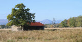 Old barn, Low Mains-Loch Lomond NNR