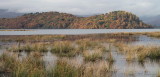 Inchcailloch, Loch Lomond