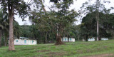 Ipassa Research Station, Makokou, Gabon