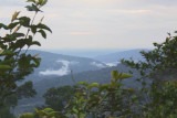 The endless rain forest, near Makokou, Gabon