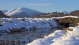 Crom Mhin bridge, Loch Lomond NNR, Clyde
