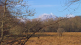 Ben Lomond from Gartfairn Wood, Loch Lomond