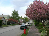 Triumph Street, East Vancouver