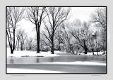 Hoar frost Andover, KS