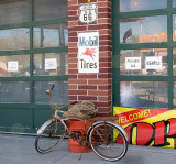 Seligman, Az