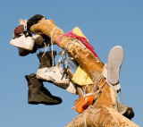 The Shoe Tree